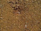 IMG_1030.jpg